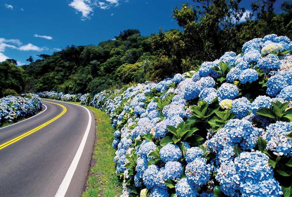 Caminho Das Colinas กรามาโด ภายนอก รูปภาพ