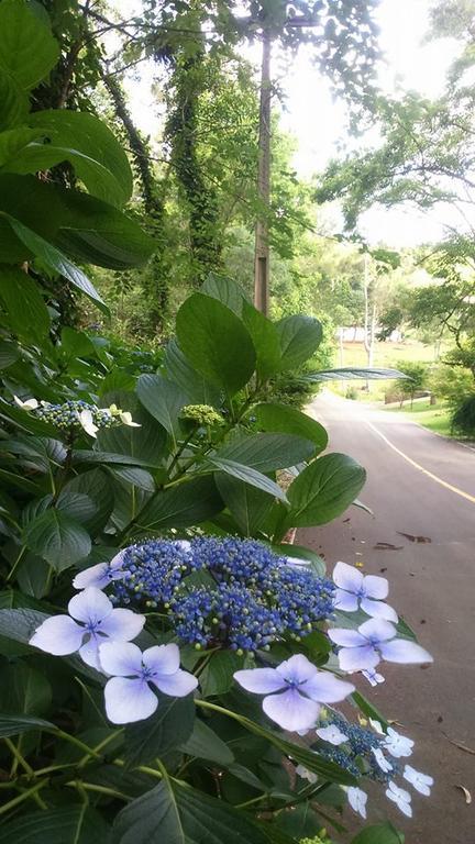 Caminho Das Colinas กรามาโด ภายนอก รูปภาพ