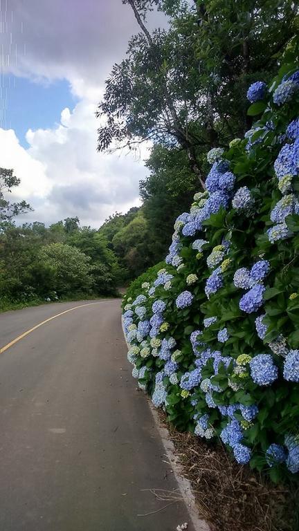Caminho Das Colinas กรามาโด ภายนอก รูปภาพ